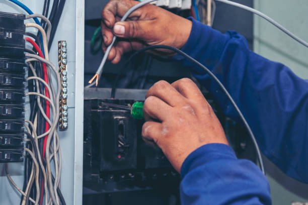 Best Electric Panel Repair  in Rugby, ND