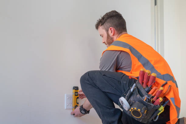Best Electric Panel Repair  in Rugby, ND